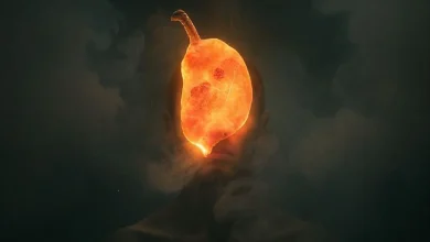 Rüyada vahşi hayvan eti yemenin anlamı ve tabiri.